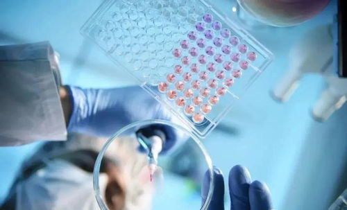 人體為什么需要補(bǔ)充干細(xì)胞？——探索干細(xì)胞技術(shù)的開發(fā)與應(yīng)用