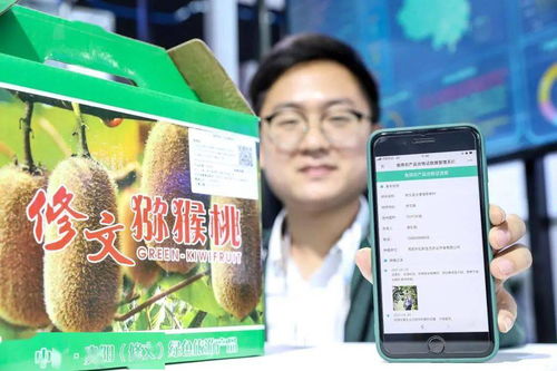 大數(shù)據(jù)能為鄉(xiāng)村振興做什么