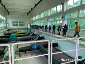 沙洋中小學(xué)生走進自來水廠 體驗生產(chǎn)流程 樹立節(jié)水意識